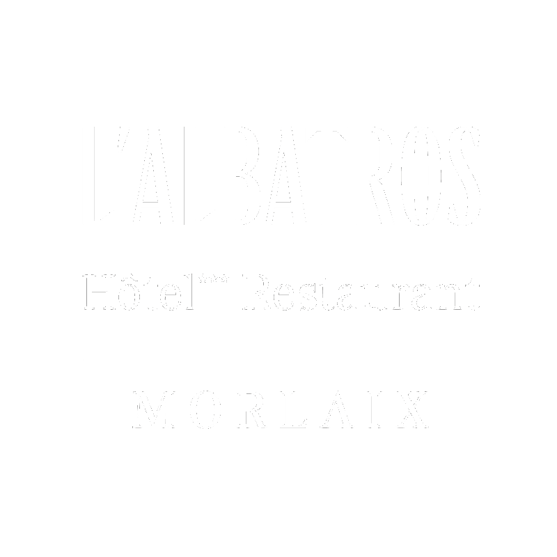 Logo L'ALBATROS