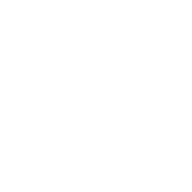 Logo CNV