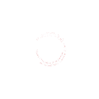 Logo RESAM