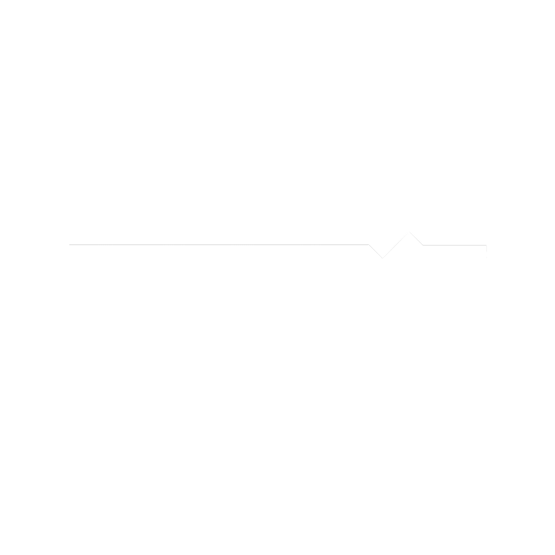 Logo Ferarock