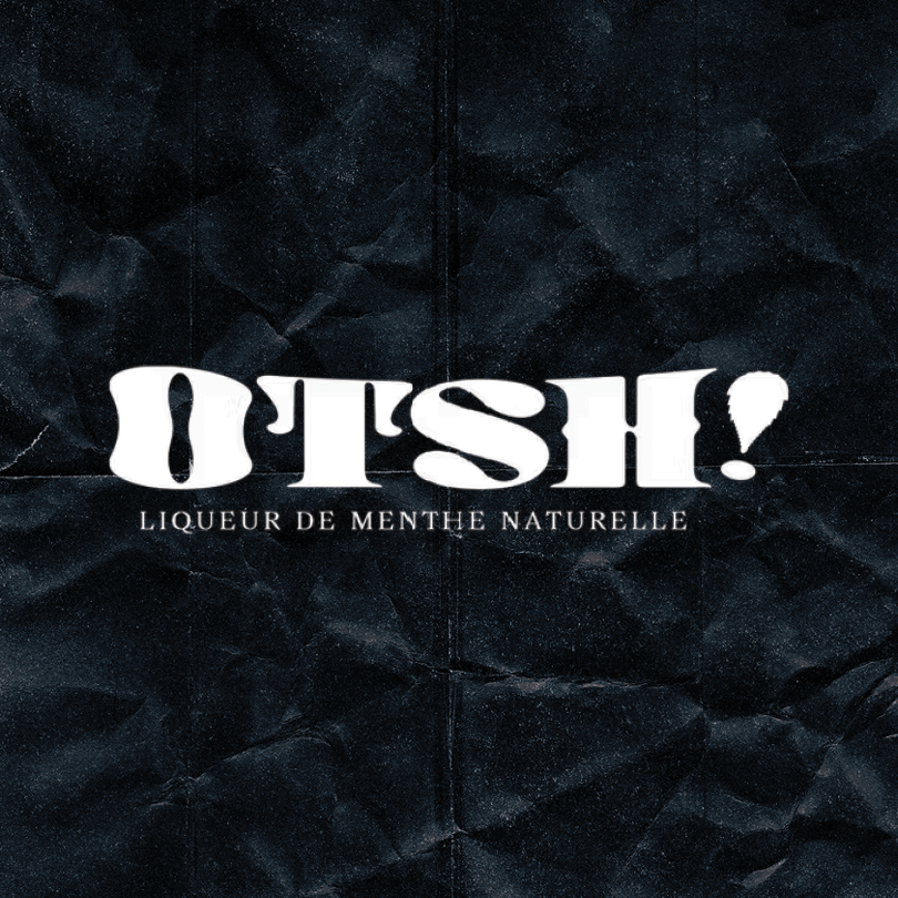 Logo Otsh !
